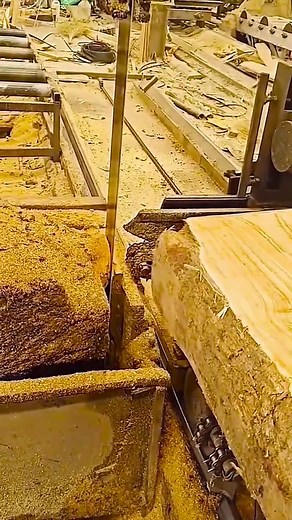 Wood processing production line wood like please go to my homepage WA#tiktok #wood
