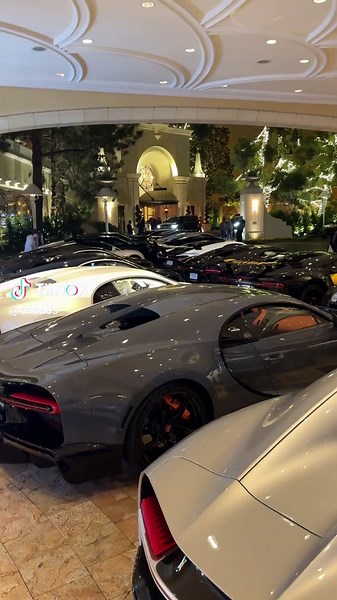 Exploring the Fascinating World of Bugs and Insects