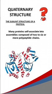 PROTEIN QUATERNARY STRUCTURE