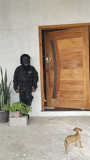 Os vídeos de Aline sousa (@aline.sousa51) com Originalton - Comedy 🎭🤣