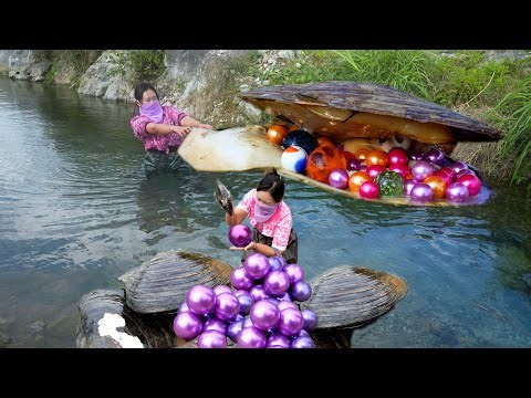 Giant clams growing in the stream, containing the largest and most beautiful pearls, are fascinating