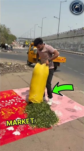 This cow eat his vegetables | But he actually helped all of them 😱🫡 #respect #shorts #ytshorts