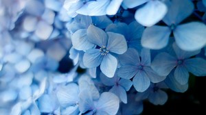 The Perks of Being a Late Bloomer