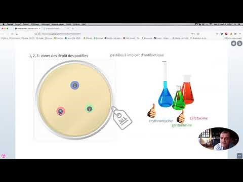 Principle of the antibiogram
