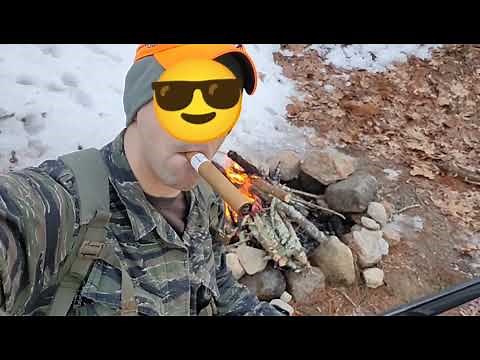 velocity systems mayflower jungle rig