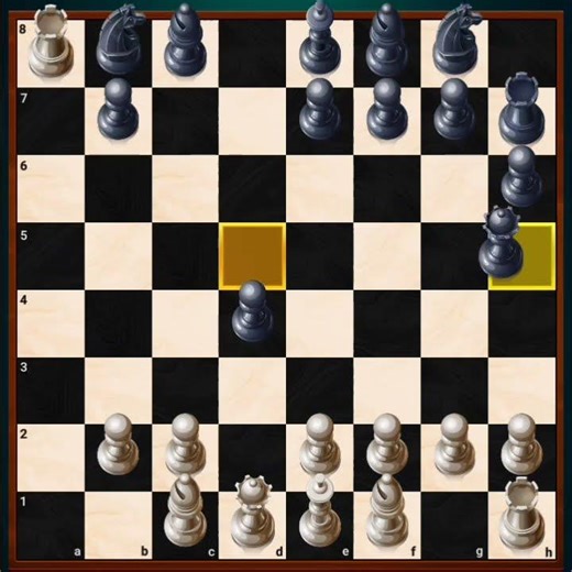 Human vs computer who will win (Chess YT)