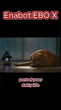 Enabot EBO X Home Robot Review | Your Personal AI Assistant