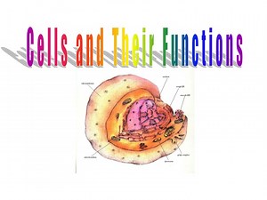 Cells and Their Functions - SlideServe