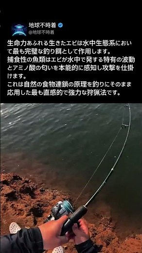 投げた瞬間に食いつく？生態系の食物連鎖を利用した究極の釣り法