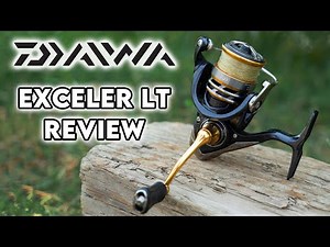 Daiwa Exceler LT Review: Is This Reel Worth It?