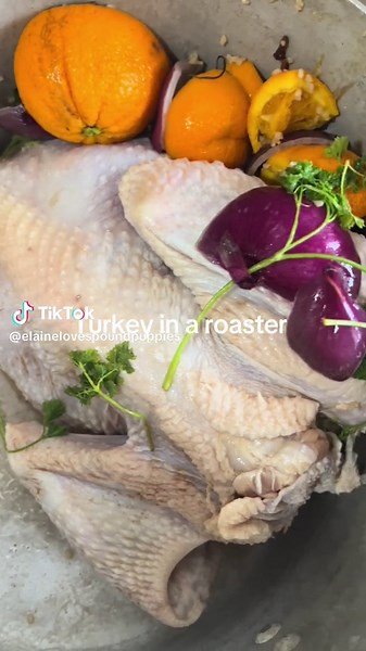 Testing a turney recipe. We shall see! #turkey #thanksgiving2023 #brine #osterroaster we shall see the outcome