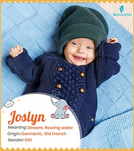 Joslyn Name Meaning: Origin, History, Pronunciation & Popularity