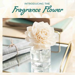 About Scentsy Fragrance Flowers - Sola Wood Reed Diffusers