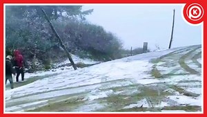 Winter's magic begins! ❄️ Sandakphu, Darjeeling, welcomed its first snowfall of the season this Thursday, turning the landscape into a snowy paradise. | The Khangchendzonga Post