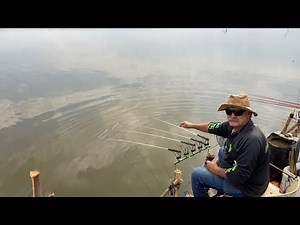 Pescaria com as varas que O TILAPEIRO vai produzir (pesca sem isca)tilápia