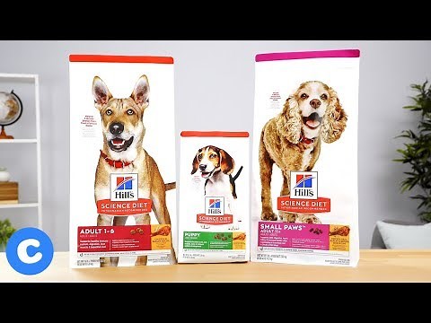 Hill’s Science Diet Lifestage Dog Food | Chewy