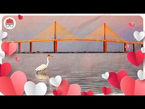 A Love Letter to Cable-Stayed Bridges