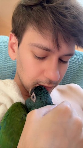 Cuddling with Sweet Baby Blue Macaw Zeus