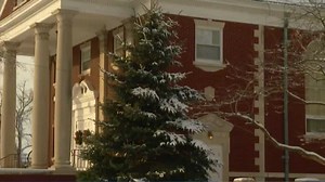 Derecho-damaged tree finds new home for the holidays