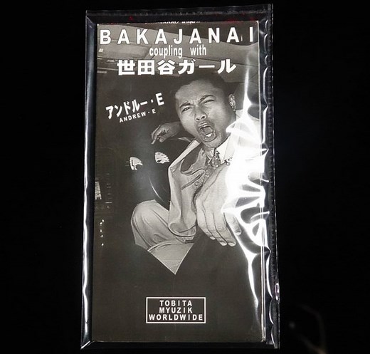 Andrew E. - BAKAJANAI - Coupling With Andrew E.