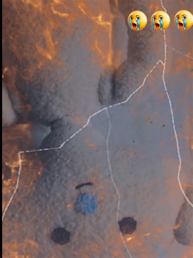 #bearalpharoblox🐻 #bearalpha #bearalphaplushie #robloxbear #bear