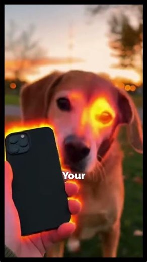 What If You Could See All Infrared Light 💡