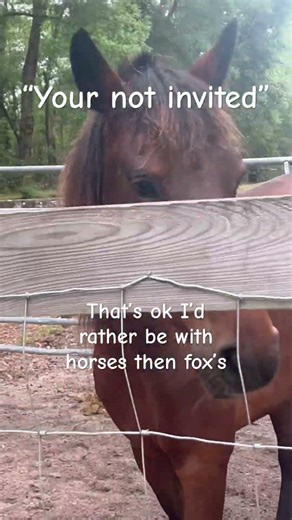 Not my idea I can’t find the creators name so creds to them!