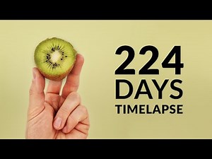 Growing KIWI Time-lapse 224 Days