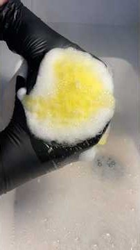 2x Pinalen on New Sponge ✨