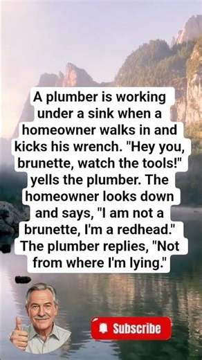 Plumber Yells at Homeowner From Under Sink, Explains Why He Sees a Brunette. 🤣