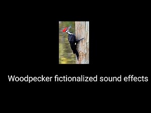 All Woodpecker fictionalized sound effects