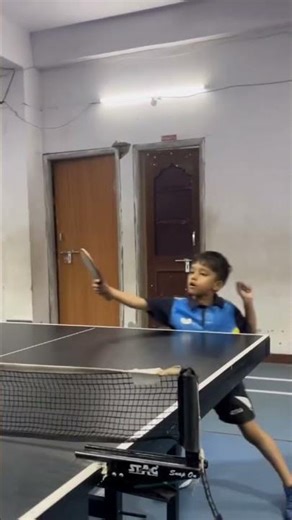 Stag panther table tennis academy ved poddar