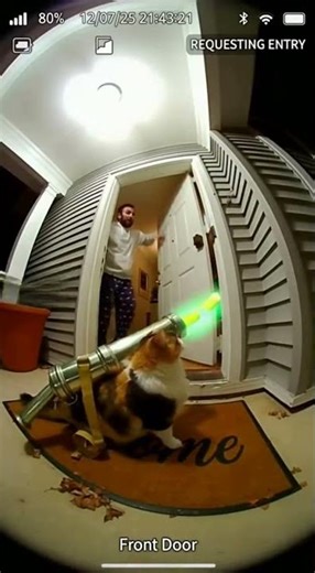 Cat With a PICKLE GUN Blasts the House 😭🐱🥒💥