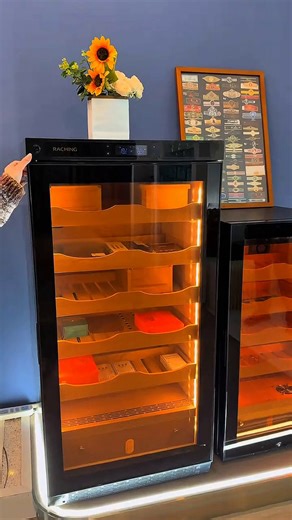 美晶（raching） C230A 实木恒温恒湿雪茄柜保湿柜压缩机精准控温控湿雪茄保湿柜雪茄盒家用 星空黑（加拿大雪松木层架）