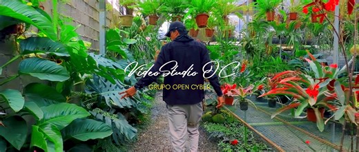 El vivero de Sandra y Michel de Moyobamba 🇵🇪: Es un lugar dedicado al cultivo y cuidado de plantas ornamentales y nativas de la región. Con esfuerzo y amor por la naturaleza, ofrecen plantas de buena calidad y promueven el respeto por el medio ambiente, contribuyendo al cuidado y la belleza de la ciudad. 🌿 Con VideoStudio OC ✌🏻✨ | OPEN CYBER TV