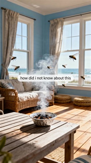 Easy Natural Fly Repellent Using Household Items! #hack #flies #natural | The Vu Kitchen