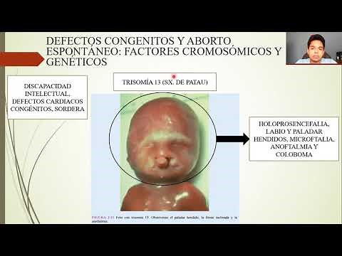 EMBRIOLOGÍA: GAMETOGÉNESIS: CONVERSIÓN DE CÉLULAS GERMINALES EN GAMETOS MASCULINOS Y FEMENINOS