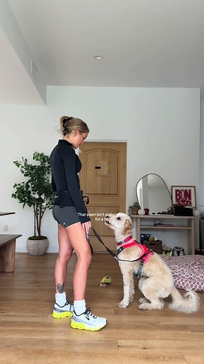Nala B Fitness: Celebrating Our Running Journey