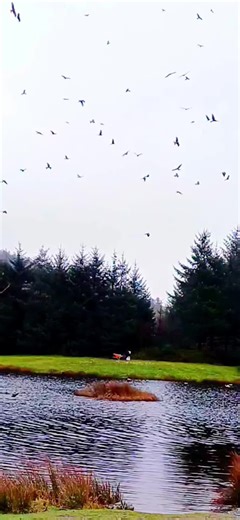 Discover Beautiful Aberystwyth in Mid Wales