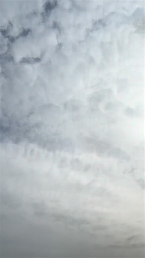 ¿Ya conoces el proyecto que han organizado voluntarias de Magdala? ¡Ahora, gracias a “Llamados”, puedes meditar el Evangelio en Tierra Santa desde tu casa! ¡Subiremos un capítulo al mes en YouTube! ¡Inscríbete en el enlace de este Reel para no perdértelo! | Magdala en Español