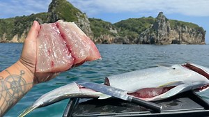 29K views · 497 reactions | Catch and Cook That Could’ve Ended Me | Outdoor Chef Life | Facebook