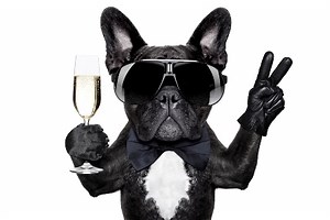 12 Top Reasons to Learn French | FluentU French Blog