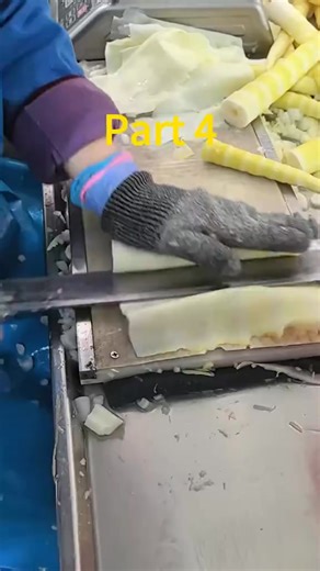 #reddit #reddit #35mm #300k #foryou | Nova Robinson | Facebook