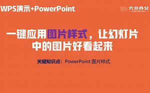 一键应用图片样式，让幻灯片中的图片好看起来