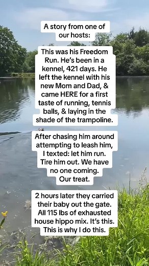 Heartwarming Freedom Run for Rescue Dog