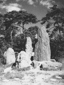 大学卒業50周年同期会⑤　三高寮歌「逍遥の歌」に歌われた吉田山 (下鴨・宝ヶ池・平安神宮) - 旅行のクチコミサイト フォートラベル