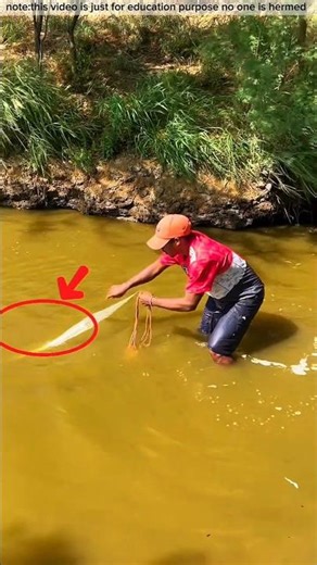 দেখো এই লোকটি মাছ ধরতে গিয়ে কি ঘটনা ঘটালো #viralvideo #fishing #fish #facts #fishtrap #fishcatch
