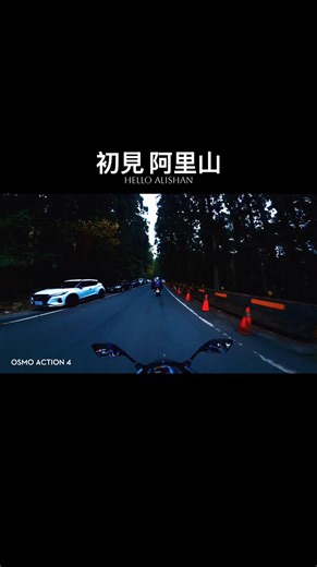 【初見】初見阿里山 森林裡的第一眼 #shorts