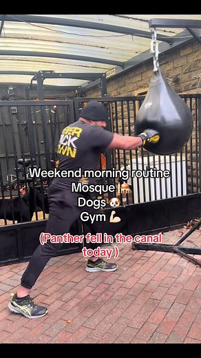 Weekend Morning Routine with Dogs and Gym
