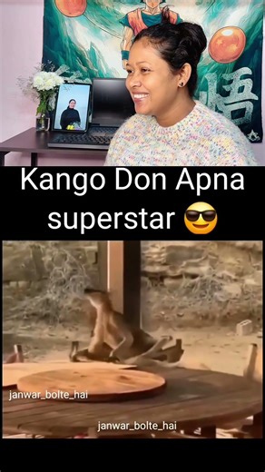 Kango Don Apna Superstar 😎😂 #kangaroo #funnyanimals #animalcomedy #desidubbing #viralshorts